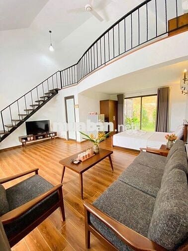 Cần bán đất tặng villas Tại Yên Bài, Ba Vì, Hà Nội