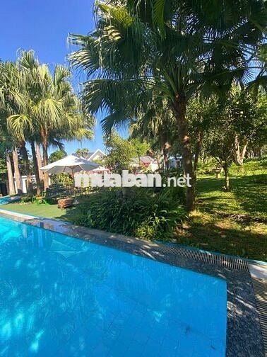 Cần bán đất tặng villas Tại Yên Bài, Ba Vì, Hà Nội