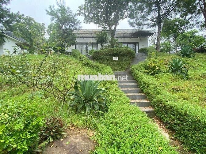 Cần bán đất tặng villas Tại Yên Bài, Ba Vì, Hà Nội