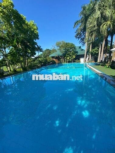 Cần bán đất tặng villas Tại Yên Bài, Ba Vì, Hà Nội