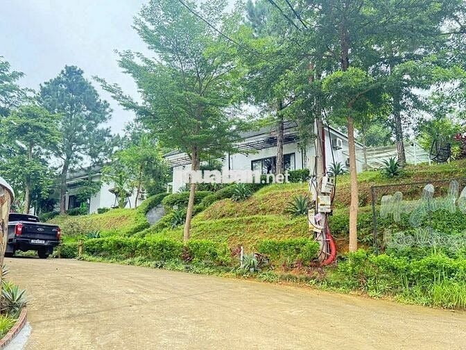 Cần bán đất tặng villas Tại Yên Bài, Ba Vì, Hà Nội