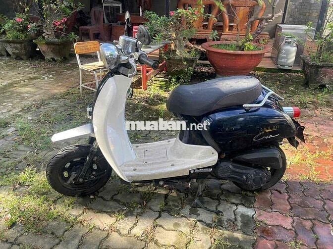 xe tay ga 50cc cho học sinh