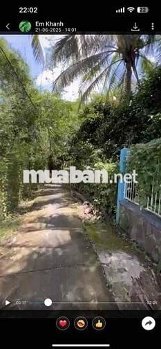 Bán đất tại Ấp Bình Hoà A Xã Bình Trưng Châu Thành Tiền Giang