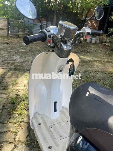 xe tay ga 50cc cho học sinh