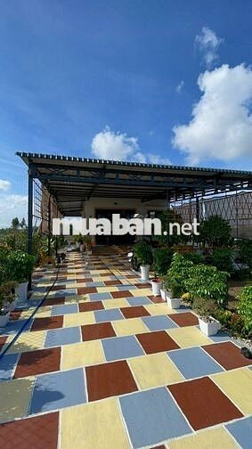 Nhà vườn đầy đủ tiện nghi mặt tiền HL5, Gò Công Đông, giá 1tỉ990