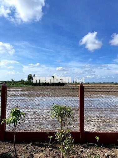 Nhà vườn đầy đủ tiện nghi mặt tiền HL5, Gò Công Đông, giá 1tỉ990