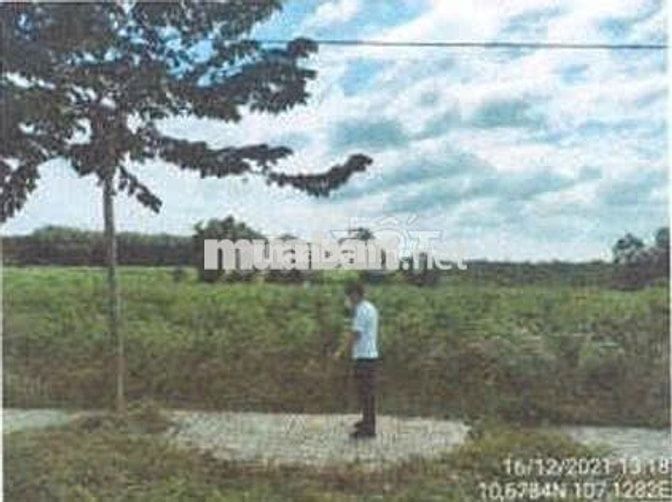 Bán ĐGTS đất tại phường Tân Thành, TP. Hồ Chí Minh