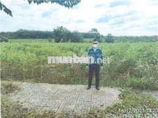 Bán ĐGTS đất tại phường Tân Thành, TP. Hồ Chí Minh