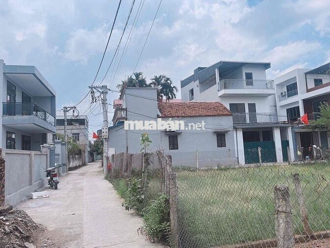 HƠN 3 TỶ_ 60M2 SDCC ĐẤT ĐẤU GIÁ VẠN 3-THANH TRÌ. CC cần tiền hạ sốc 30 HƠN 3 TỶ_ 60M2 SDCC ĐẤT ĐẤU GIÁ VẠN 3-THANH TRÌ. CC cần tiền hạ sốc 30