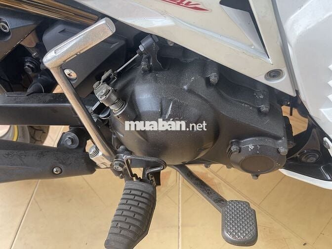 Mua về sưu tầm mà k có thời gian chăm sóc