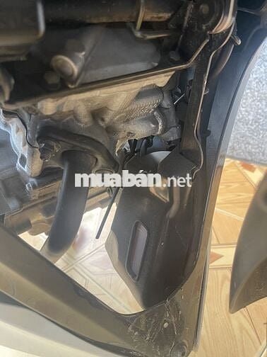 Mua về sưu tầm mà k có thời gian chăm sóc