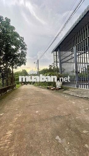 BÁN GẤP NHÀ CẤP BỐN ĐƯỜNG TÂN XUÂN 1 HÓC MÔN GIÁ CHỈ 730 TRIỆU