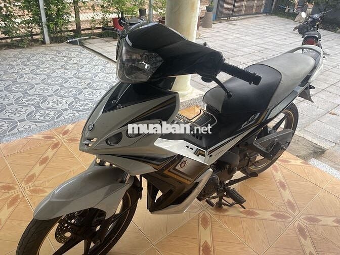 Mua về sưu tầm mà k có thời gian chăm sóc