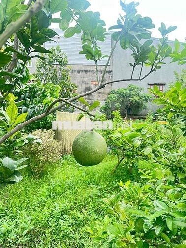 Tôi cần bán nhà 1lầu 1trệt+ nhà  vườn 500m , sổ riêng , 200m thổ cư -