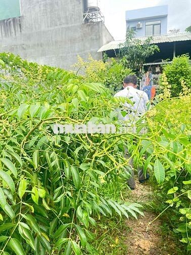 Tôi cần bán nhà 1lầu 1trệt+ nhà  vườn 500m , sổ riêng , 200m thổ cư -