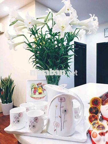 Bán căn hộ chung cư Lilama, số 124 Minh Khai, Phường Tương Mai, Hà Nôi