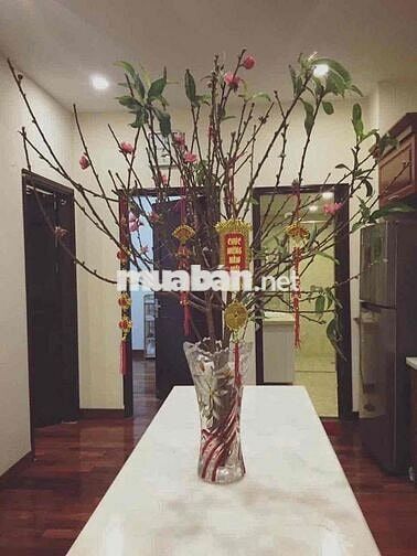 Bán căn hộ chung cư Lilama, số 124 Minh Khai, Phường Tương Mai, Hà Nôi
