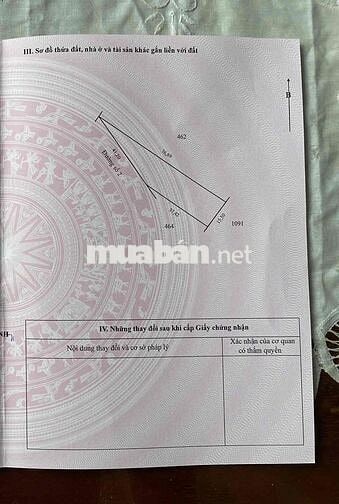 Bán 868m2 Mặt Tiền Đường Nhựa 20m - Cụm Công Nghiệp Xã Mỹ Hiệp