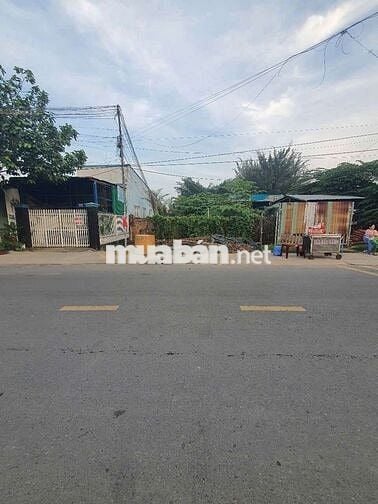 NGANG 8  ĐẤT ĐẸP ĐƯỜNG CÂY ME ,P LÁI THIÊU ,TP HCM