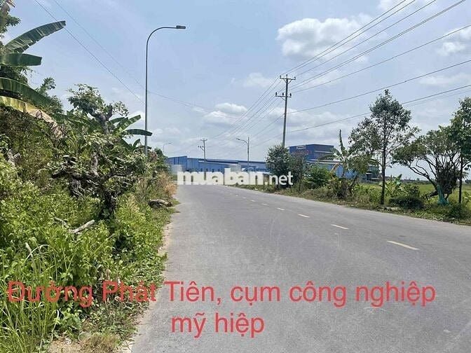 Bán 868m2 Mặt Tiền Đường Nhựa 20m - Cụm Công Nghiệp Xã Mỹ Hiệp