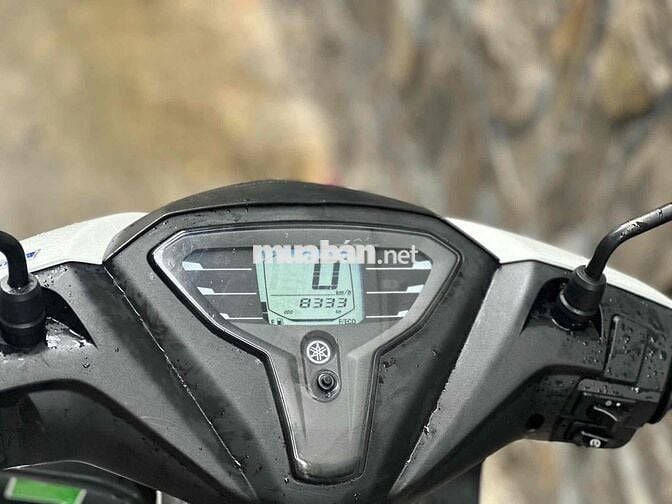 xe yamaha freego 2023 bstp chính chủ