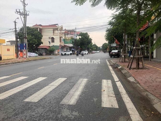 Đất 67m2 ngang 5m, HXH 4m Ngô Gia Tự, Nam Hải, Hải An 2,47 tỷ