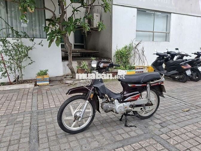 Xe dream Hàn Quốc