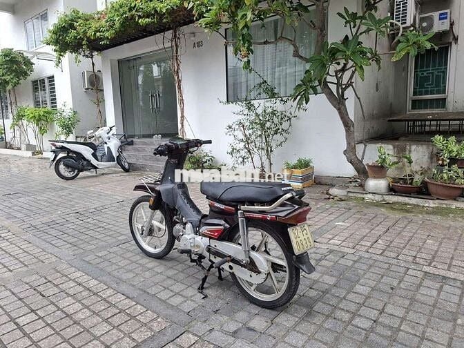 Xe dream Hàn Quốc