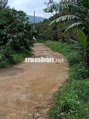 Sổ đẹp đất đẹp khách nào sẵn tiền mua ngay