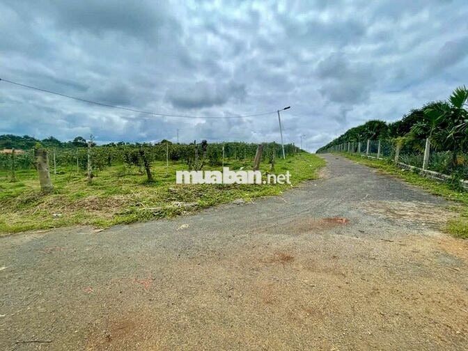 View hồ đẹp nhất Lộc An _ Bảo Lâm