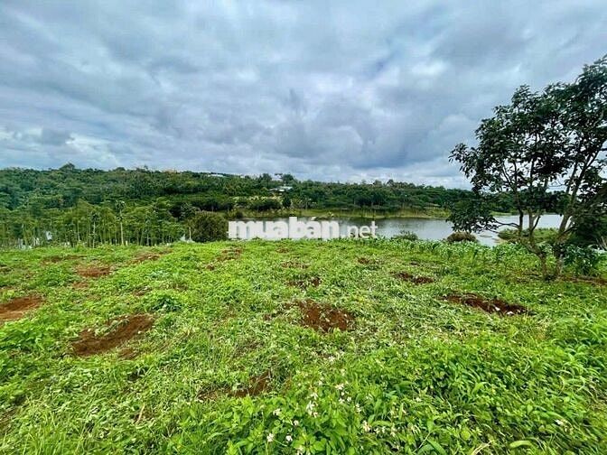 View hồ đẹp nhất Lộc An _ Bảo Lâm