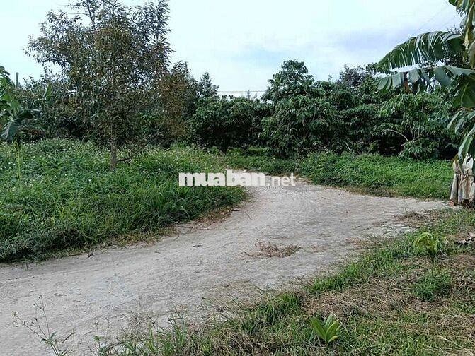 Sổ đẹp đất đẹp khách nào sẵn tiền mua ngay