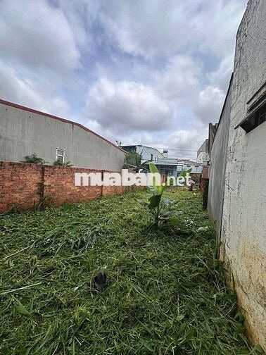 Bán đất mặt tiền đường lê minh xuân