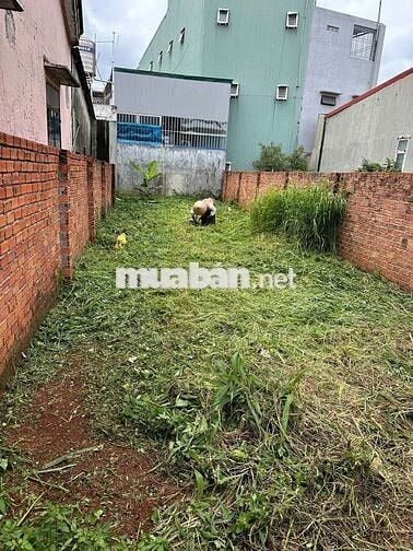 Bán đất mặt tiền đường lê minh xuân