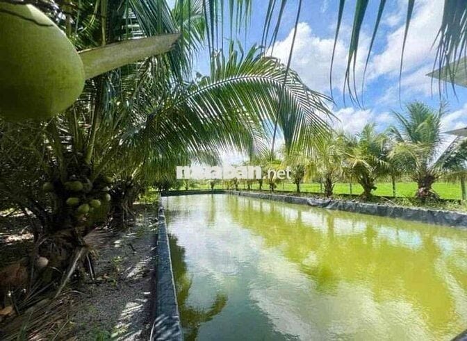 Gia Đình Có Miếng Đất Vườn Cần Bán