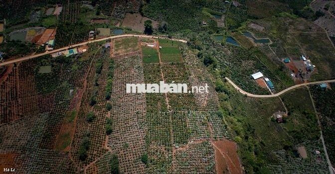 CHÍNH CHỦ BÁN 3 LÔ ĐẤT ĐẸP VIEW THỦY ĐIỆN ĐỒNG NAI 2 – XÃ LIÊN HÀ, LÂM