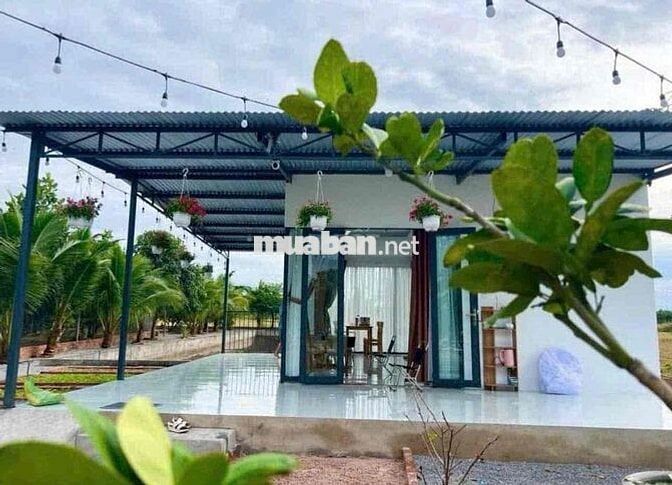 Gia Đình Có Miếng Đất Vườn Cần Bán