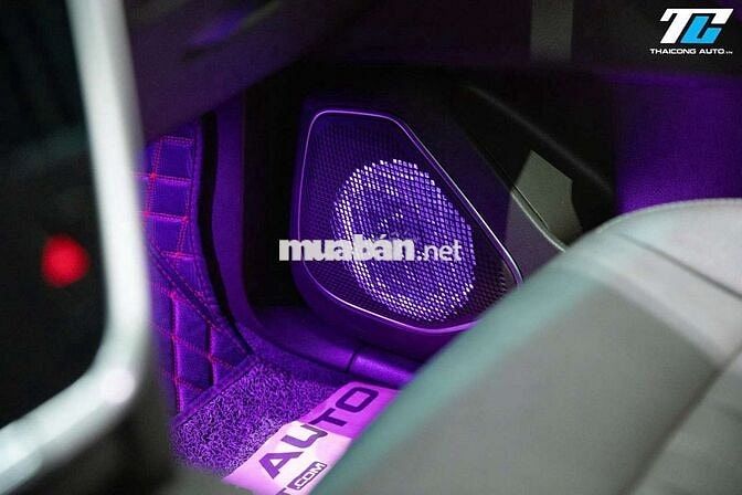 VINFAST LUX SA PLUS 2021 - 30000 km