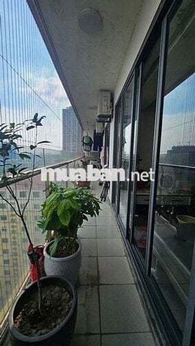 145 M - TOÀ VIP VP2 - BÁN ĐẢO LINH ĐÀM