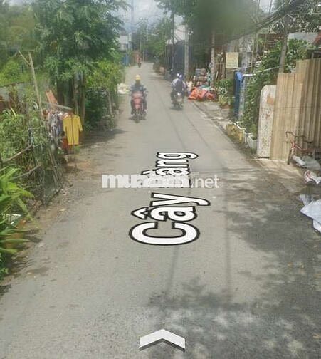 Mua không nhìn giá lô đất MT đ Cây Bàng, Tân Kiên,Bình Chánh chỉ 685tr