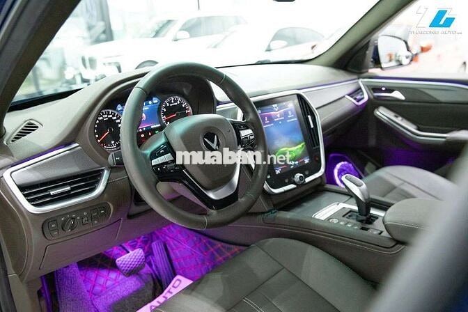 VINFAST LUX SA PLUS 2021 - 30000 km