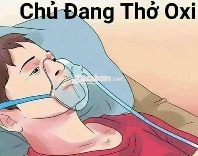 🌻 CHÍNH CHỦ 1 ĐỜI CHƯA QUA ĐẦU TƯ - PHAN VĂN ĐỐI -HẺM XE TẢI QUAY ĐẦU
