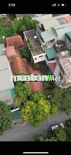 Chính chủ bán nha trung tâm TPTH