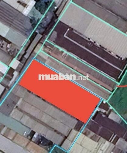 Bán Nhà Trọ HXH / Trần đại nghĩa.Lê minh Xuân.Bình Chánh.8x32M.4.69Ty