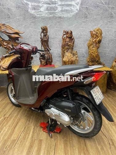 👉Vision biển SG chính chủ máy bao êm