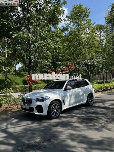 Xe BMW X5 xDrive40i M Sport 2022 - 2 Tỷ 899 Triệu