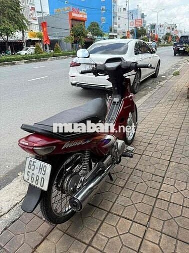Alpha lóc trắng mẫu nhỏ