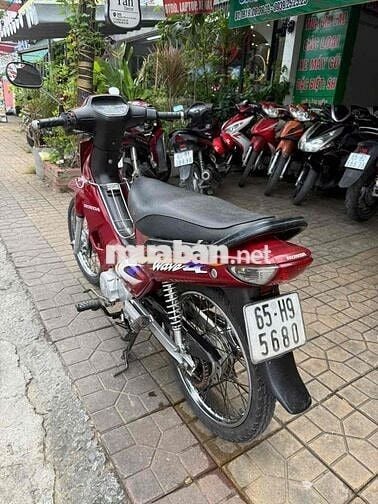 Alpha lóc trắng mẫu nhỏ