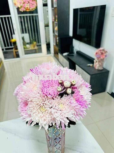 BÁN CĂN HỘ ĐẸP NHẤT PROSPER  PLAZA - TẦNG TRUNG - BẾP SIÊU SANG & RỘNG