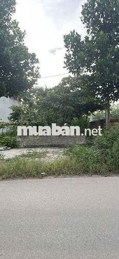 127m2 ĐẤT ĐẤU GIÁ TRỤC CHÍNH VAI RÉO